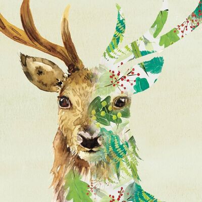 Stag Contemporary Greeting Card