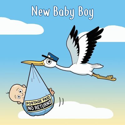 Stork - Funny New Baby Boy Card