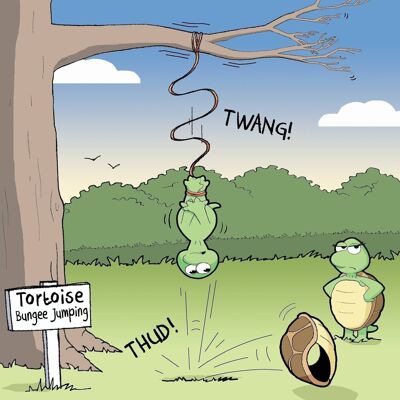 Tortoise Bungee - Humour Card