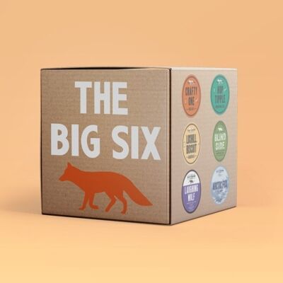 Crafty Big Six – Mixed Case ,