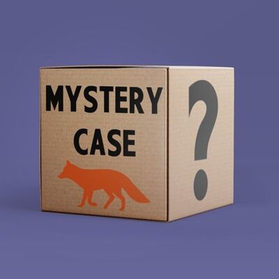 Mystery Case ,