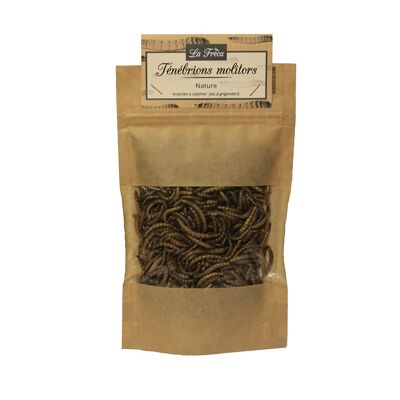 Edible insects - Mealworms - 100g bag