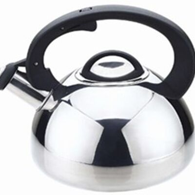 Whistling kettle  2,5L - BR-3006