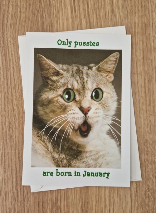 Funny Rude birthday card - only pussies are born in January