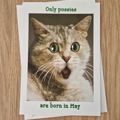 Funny rude birthday card - only pussies are born in May.
