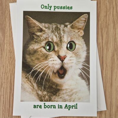 Funny rude birthday card - only pussies are born in April.