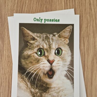 Funny rude birthday card - only pussies are born in April.