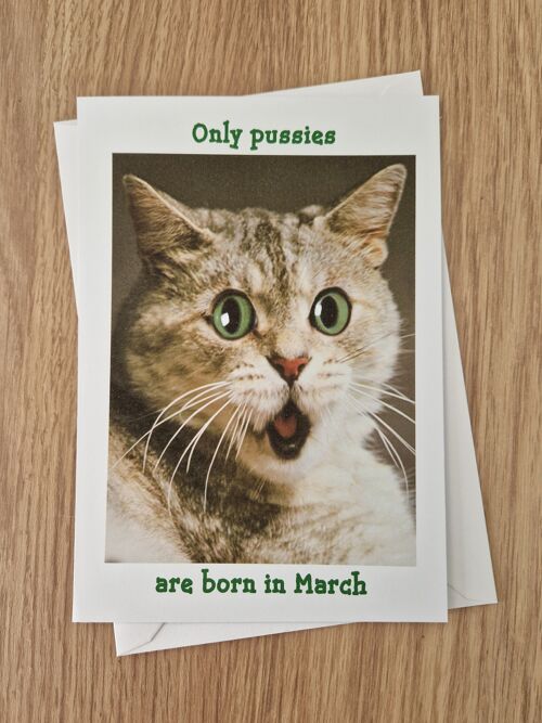 Funny rude birthday card - only pussies are born in March.