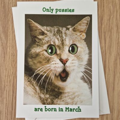 Funny rude birthday card - only pussies are born in March.