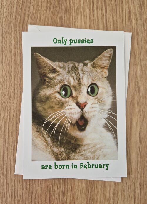 Funny rude birthday card - only pussies are born in February.