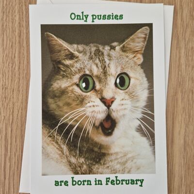 Funny rude birthday card - only pussies are born in February.