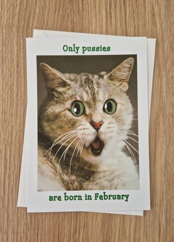 Carte d'anniversaire drôle et grossière - seules les chattes naissent en février.