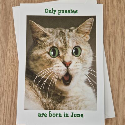 Funny rude birthday card - only pussies are born in June.