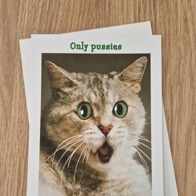 Funny rude birthday card - only pussies are born in June.
