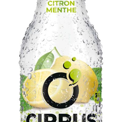 Paket O'Cirrus Lemon Mint Hard Seltzer