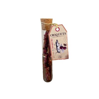 Insetti commestibili - Locuste in un tubo, Lampone e scaglie di mandorle tostate