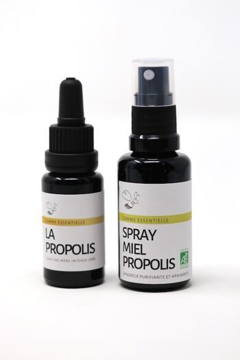 Organic Propolis Honey Spray 2