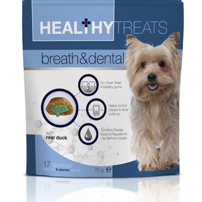 VetIQ Healthy Treats Breath & Dental Care Treats for Dogs 70g