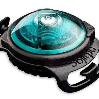 Orbiloc Dog Dual Safety Light Turquoise