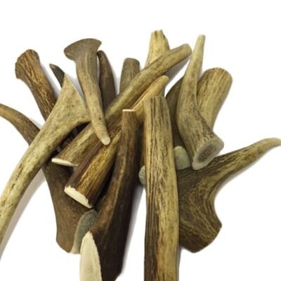 Antos Antler Natural Dog Chew - 2 Pack Deal - Extra Small (Under 50g) - 2 Pack