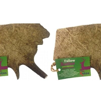 Antos Fallow Antler Dog Chew - 2 Pack Deal - Large (150g - 220g) - 2 Pack