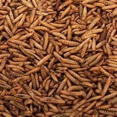 Dried Calciworms - 10kg