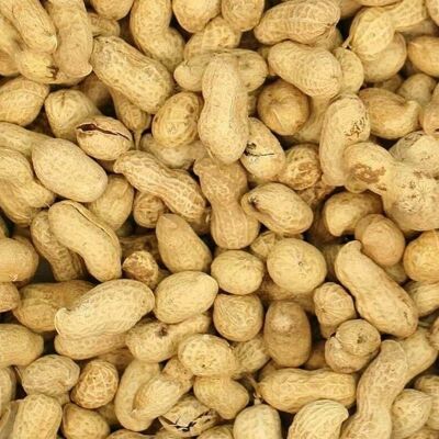 Monkey Nuts - Peanuts in Shells for Wild Birds & Squirrels - 1kg