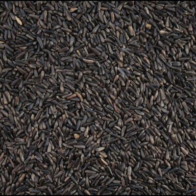 Nyjer Seed - Black Seed for Garden Birds - 1kg