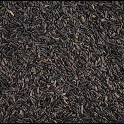 Nyjer Seed - Black Seed for Garden Birds - 7.5kg