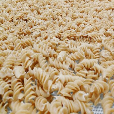 [100% Belga] Pasta A GRANEL FRANGINES trigo antiguo (Valonia) - Fusilli INTEGRAL - 3kg