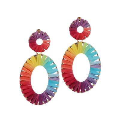 Rainbow Delight Earrings
