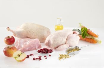 Nourriture humide pour chiens Westho Westfalen 400g (avec 75% de canard sauvage, dinde et poulet) 2