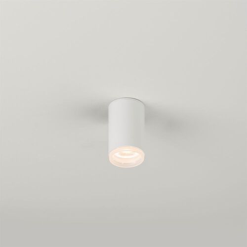 Small Ceiling Lamp Haul 55 Series - 650