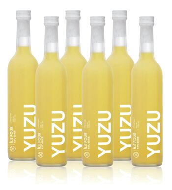 Lot de 6 yuzu