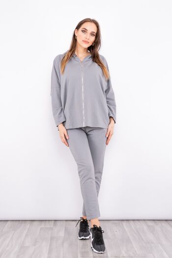 Sweat à capuche zippé gris avec motif ailes dans le dos 2