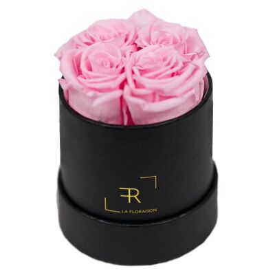 Black Rosenbox Pink - small