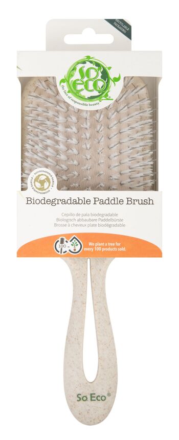 Brosse plate biodégradable So Eco 1