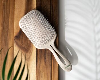 Brosse plate biodégradable So Eco 3