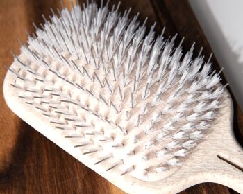 Brosse plate biodégradable So Eco 4