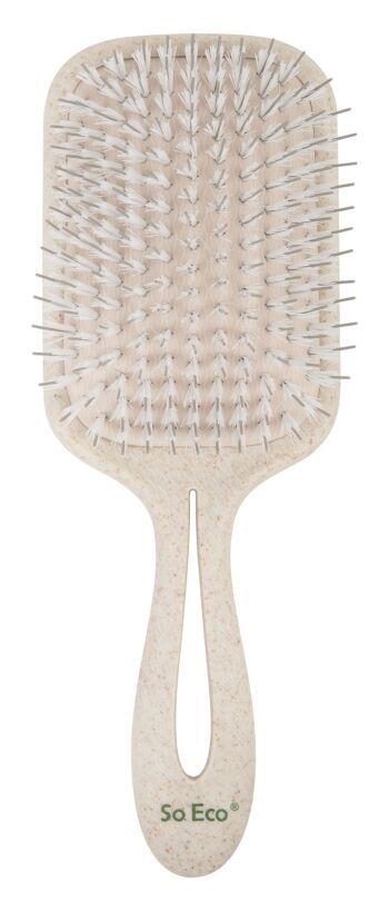 Brosse plate biodégradable So Eco 5