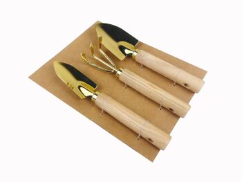 Botang® 3-Delige Metalen Tuingereedschap Set, Mini Troffel, Harkje en Transplanter 2