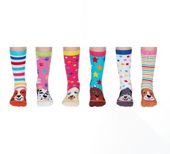 PUPSTARS | Coffret cadeau 6 chaussettes impaires pour enfants - United Oddsocks| Royaume-Uni 12-5.5, 30 euros.5-39, États-Unis 13.5-8 5