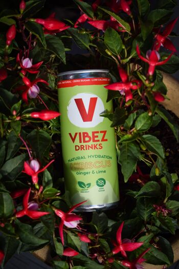 Boissons Vibez : Hibiscus, citron vert et gingembre (Toujours) - 250ml - 1 3