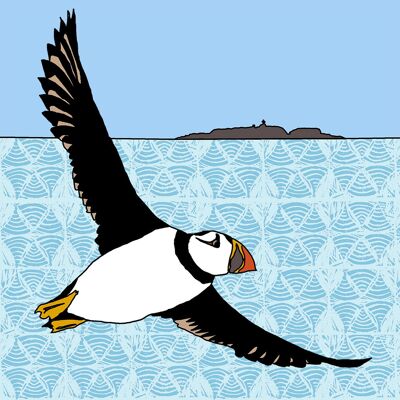 Scottish Animals - Giclee Print in Rope Frame - Puffin (Isle of May)