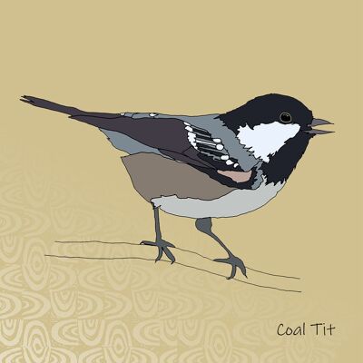 Garden Birds - Giclee Print in Rope Frame - Coal Tit