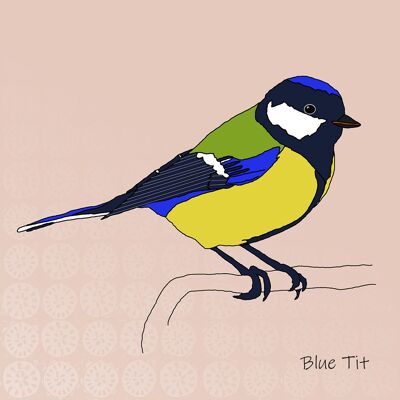 Garden Birds - Giclee Print in Rope Frame - Blue Tit