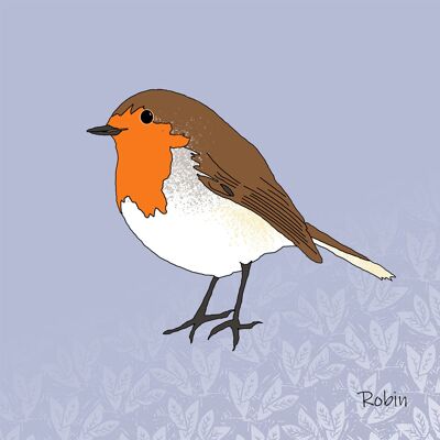 Garden Birds - Giclee Print in Rope Frame - Robin