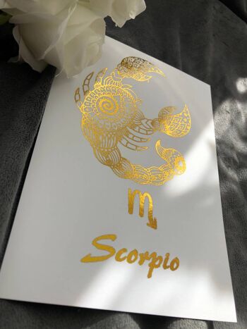 Scorpion Star Sign Foil Print A4 No Frame 4