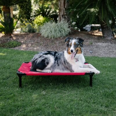 Lit Surélevé pour Petit Chien | Lit de Camp Chiens avec Pieds Amovibles Cadre en Acier Robuste | Intérieur Extérieur - Lucky Dog (L 74cm x l 51 cm x H 19 cm, Rouge)