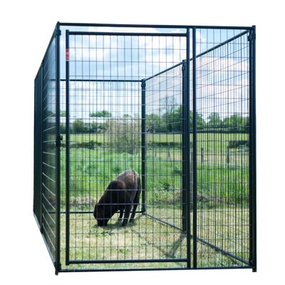 Enclos extérieur pour chien en Grillage Soudé | L 300 cm x L 150 cm x H 180 cm | Lucky Dog